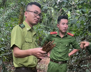 Kiểm lâm thu nhiều bẫy chim di cư giữa rừng đặc dụng