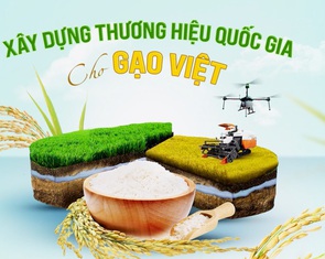 Xây dựng thương hiệu quốc gia cho gạo Việt