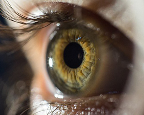 Từ 1-7 thu thập mống mắt, ADN và giọng nói để làm thẻ căn cước