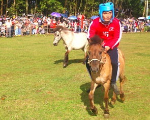 Đua ngựa truyền thống Gò Thì Thùng: Người cưỡi to hơn ngựa, kỵ sĩ suýt rớt nài