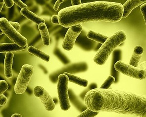 Tìm nguyên nhân 2 trẻ nghi ngộ độc botulinum tại TP.HCM