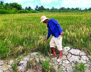 Khát nước cạnh những dòng sông