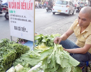Thành phố dễ thương - Kỳ 2: Hàng rau miễn phí ai cần cứ đến lấy