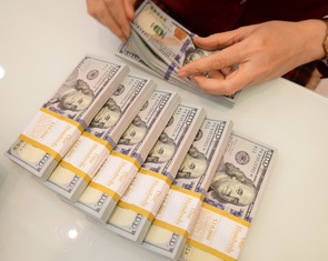 Từ hôm nay Ngân hàng Nhà nước bán ngoại tệ để hạ nhiệt sốt giá USD