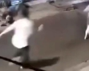 Án mạng ở quận Bình Tân từ mâu thuẫn nuôi chó: Camera ghi nhận gì?