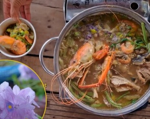 Những món ngon bình dị
