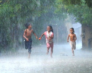 Những mùa mưa đợi chờ - Kỳ 1: Ngóng mưa ở 'thung lũng chết' Ninh Sơn