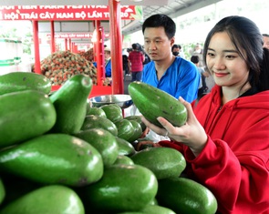 Hoa thơm trái ngọt ngập tràn Lễ hội Trái cây Nam Bộ 2024