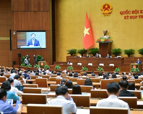 100% đại biểu thông qua Luật Đấu giá, người đấu giá vi phạm có thể bị truy cứu hình sự