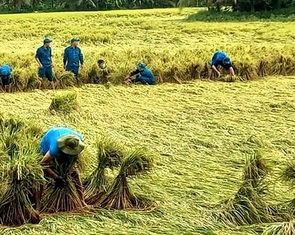 Lũ ở Đồng bằng sông Cửu Long nay sẽ khác