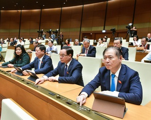 Quốc hội quy định: Dao có tính sát thương cao là vũ khí thô sơ