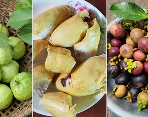 Tết Đoan ngọ, vòng quanh miền Tây thưởng thức mùa trái cây chín mọng