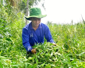 Học bổng chắp cánh ước mơ: Cậu học trò quyết tâm học giữa mái nhà xơ xác, cột kèo ngả nghiêng