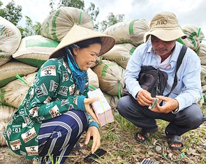 Cơ hội lớn cho xuất khẩu gạo Việt