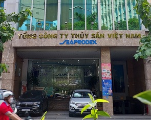 Thi hành bản án liên quan Vũ 'nhôm': Bắc Nam 79 và Seaprodex cùng kêu cứu