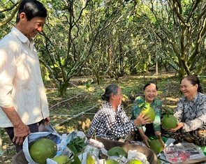 Phân bón Cà Mau thắng lớn 6 tháng đầu năm nhờ đâu?