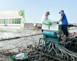 Lập Hội đồng lúa gạo quốc gia: Liên kết để tăng giá trị, thương hiệu gạo Việt