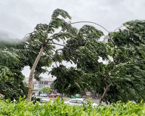 Từ nay đến cuối năm, bão vào đất liền dự báo tăng, nguy cơ mưa lũ dồn dập