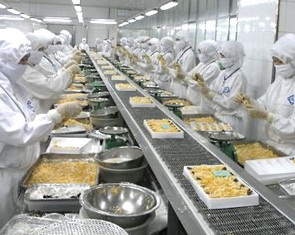 Xuất khẩu tôm gặp khó do thiếu nguyên liệu