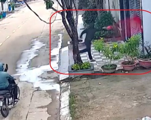 Tạm giữ hai thanh niên tạt sơn đòi nợ ở Bình Dương