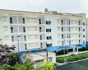 Tiếp tục dành nguồn lực xây nhà ở cho công nhân thuê