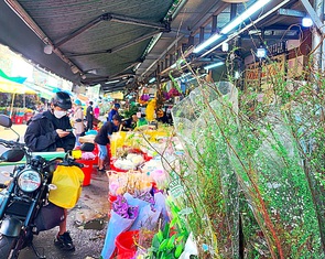 Hoa Trung Quốc 'lấn lướt' thị trường Tết