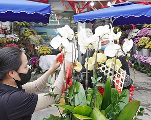Hoa Tết: Phải bán thêm trên mạng mới khá được