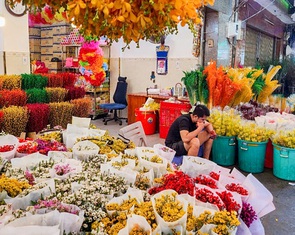 Hoa Tết đìu hiu, tiểu thương nóng ruột lo cảnh 'ngồi không'