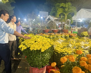 Bí thư Đồng Tháp động viên tiểu thương chợ hoa Tết
