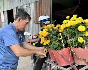 Tết đủ đầy trong ‘căn nhà chạy thận’ ở Vĩnh Long