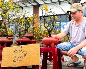 27 tháng Chạp đã 'xả hàng', chợ hoa Tết Quảng Ngãi vẫn vắng người mua