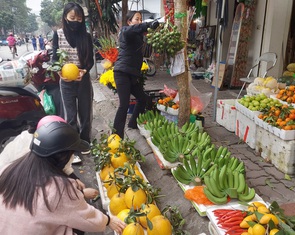 Vì sao chuối tiêu tăng giá chóng mặt tới vài trăm ngàn mỗi nải?