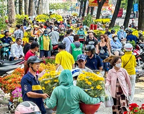 Hoa Tết bắt đầu 'xổ' khắp phố phường, người mua tấp nập