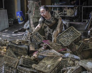 Thái Nguyên sau lụt: Xót xa cảnh tiểu thương trắng tay, phố phường ngập bùn đất