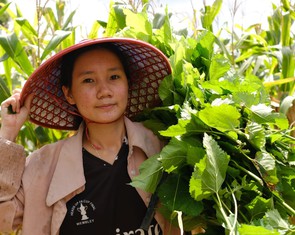 Nữ sinh viên núi rừng Ia Pia chăm bò, nuôi tằm, gói bánh thuê… kiếm tiền đi học