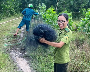 Thiên la địa võng lưới ma bẫy chim trời