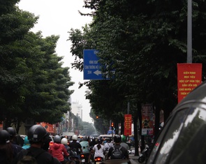 TP.HCM: Biển báo bị tán cây che mất, người đi đường khó thấy