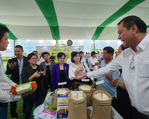 Cần có thương hiệu gạo và sản xuất lúa giảm phát thải