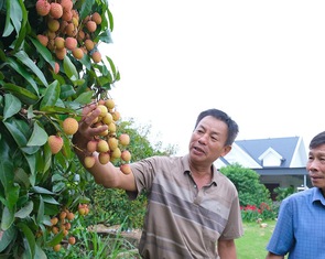 Thỏa thuận mới về thuế đối ứng: Mặt hàng nào có cơ hội hưởng thuế 0%?