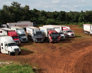 Gần 2.000 container sầu riêng bị ùn ứ, Đắk Lắk lên kế hoạch xây trung tâm kiểm nghiệm