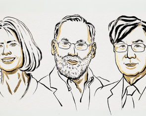 Mở màn Nobel 2025: Lĩnh vực y sinh vinh danh 3 nhà khoa học Mỹ và Nhật Bản