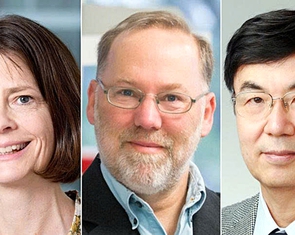 Nobel Y sinh 2025: Mở ra kỷ nguyên mới của miễn dịch học