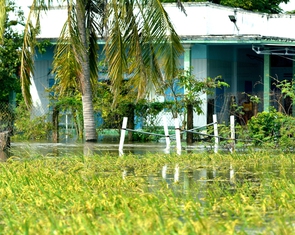 Ngập lụt liên miên ở Bình Thuận cũ, thủy lợi nói xả lũ đúng quy trình, dân không biết kêu ai