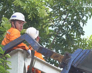 EVNHCMC tăng cường an toàn điện và chủ động ứng phó mưa bão