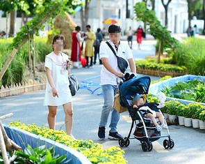 Sinh 1 hay 2 con, đừng lên mạng 'tham khảo' rồi noi theo