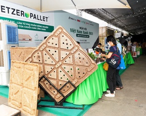 Doanh nghiệp nhỏ thắng lớn nhờ tiên phong xanh