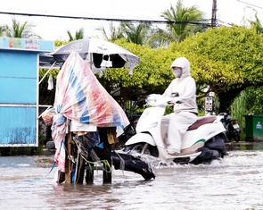 Cà Mau vận hành hơn 300 cống, đập ngăn triều cường rằm tháng 9