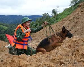 100 bộ đội biên phòng dẫn chó nghiệp vụ tìm kiếm 2 nạn nhân bị vùi lấp ở Đà Nẵng