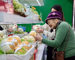 Từ nho sữa, lê Hàn Quốc đến máy ảnh Canon, xe máy Honda đều có hàng giả