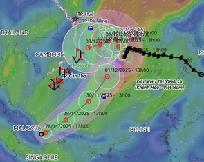 Áp thấp nhiệt đới hiếm thấy, hướng từ xích đạo lên tâm bão số 15